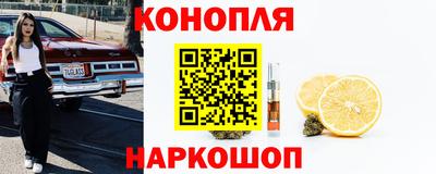 сатива Славгород