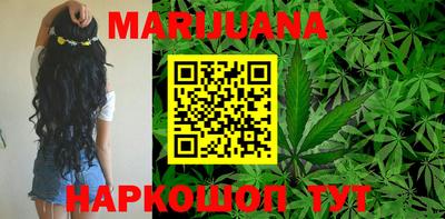 индика Северобайкальск