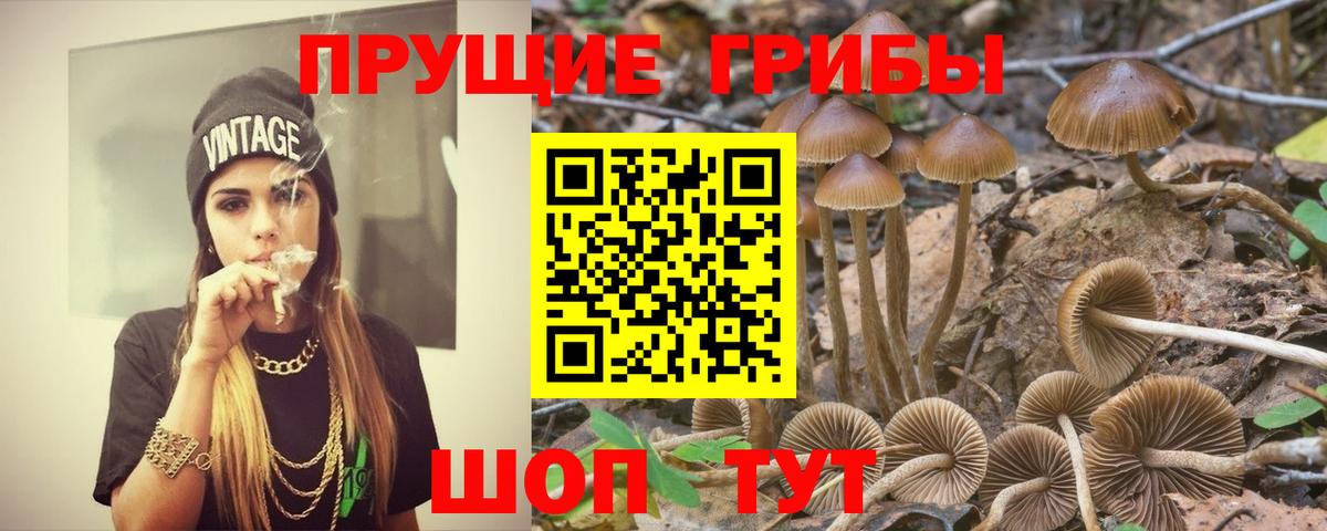 Псилоцибиновые грибы ЛСД  Вход с VPN  Галлюциногенные грибы мухоморы  Орск 